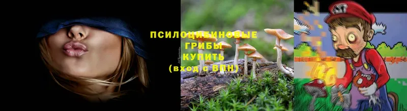 Псилоцибиновые грибы MAGIC MUSHROOMS  Нижний Ломов 